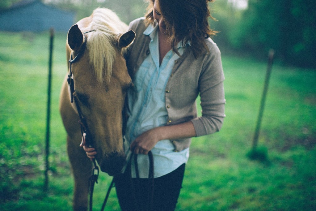 Comment bien s’occuper de votre cheval ?